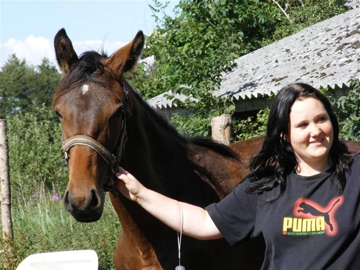 Dansk Varmblod storåens Faust - Man vvi elsker hinanden XD <3333 billede 13