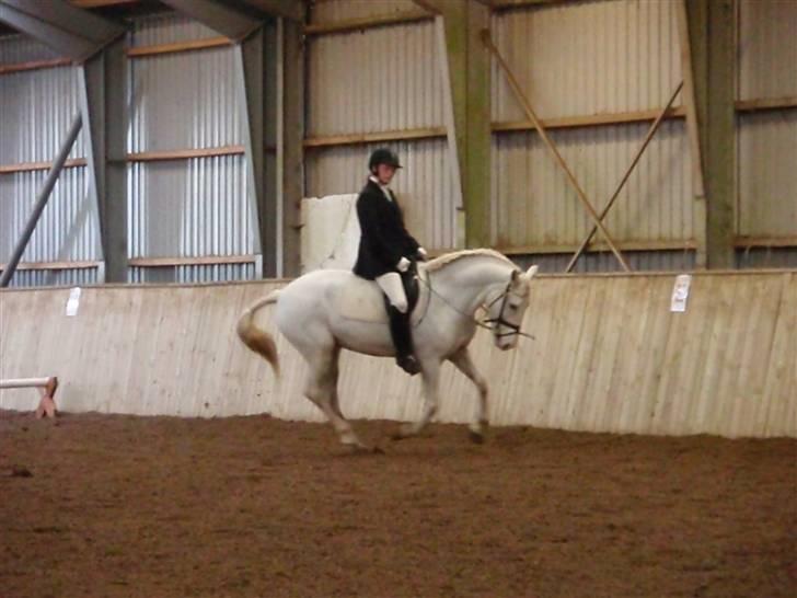 Anden særlig race Rapa nui <3 - Til stævne på Hedelykke. En Lc2 de vandt klassen. Foto: Sarah J billede 5