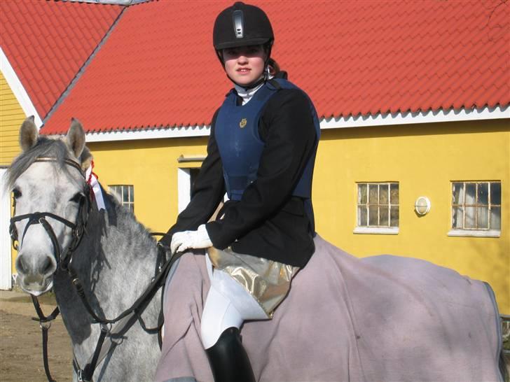 Anden særlig race Ariel ( solgt ) - 1 plads v. fastelavns stævne , højdespring mod Speedy , 130 cm :) billede 16