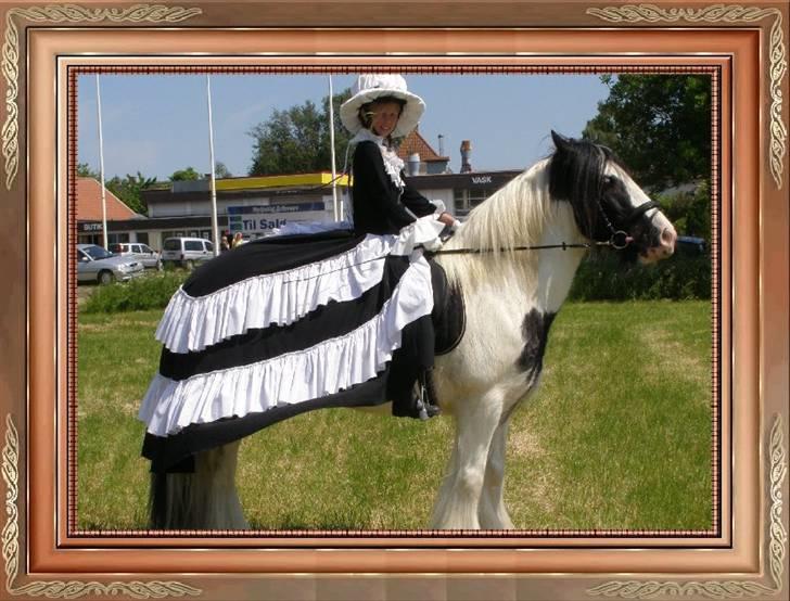 Irish Cob Beer's Paddy billede 11