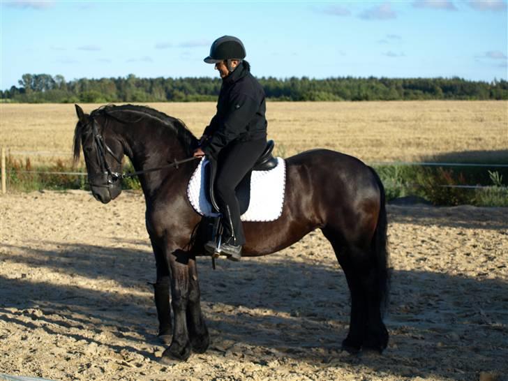 Frieser Lipkje W.  billede 1