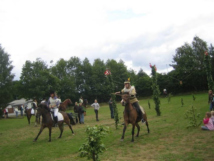 Anden særlig race Pinocchio SOLGT - Ringridning i Mariager. billede 10