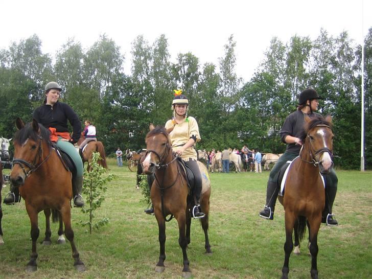 Anden særlig race Pinocchio SOLGT - 1.præmieoverrækkelse. Blev nr. 7. Rigtig fint, da det var første gang vi prøvede kræfter med ringridning. billede 11