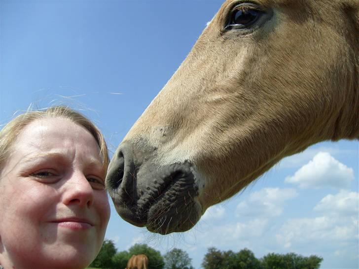 Anden særlig race Mainert Botoft - Du er lidt spændende så må hellere snuse lidt til dig.. Hi Hi billede 5
