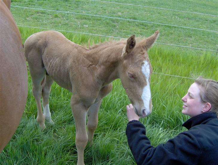 Anden særlig race Mainert Botoft - Fire dage gammel og vil gerne snakke billede 6