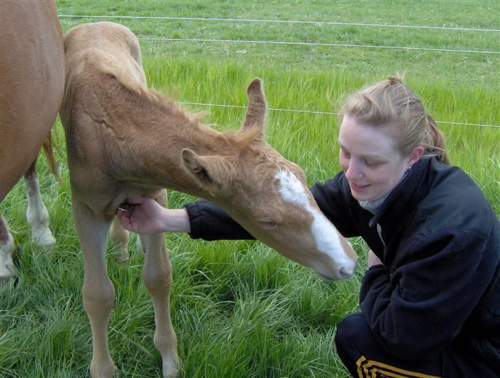 Anden særlig race Mainert Botoft - Jeg kløer lige lidt igen hvis jeg nu kan finde ud af det billede 7