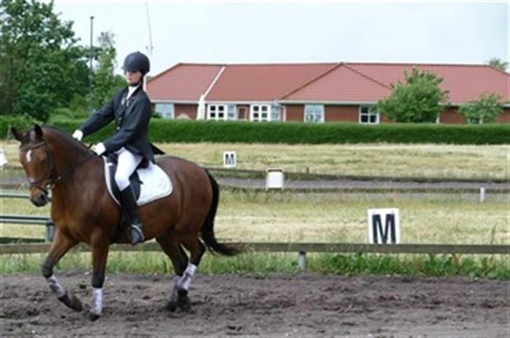 Anden særlig race Delight billede 11