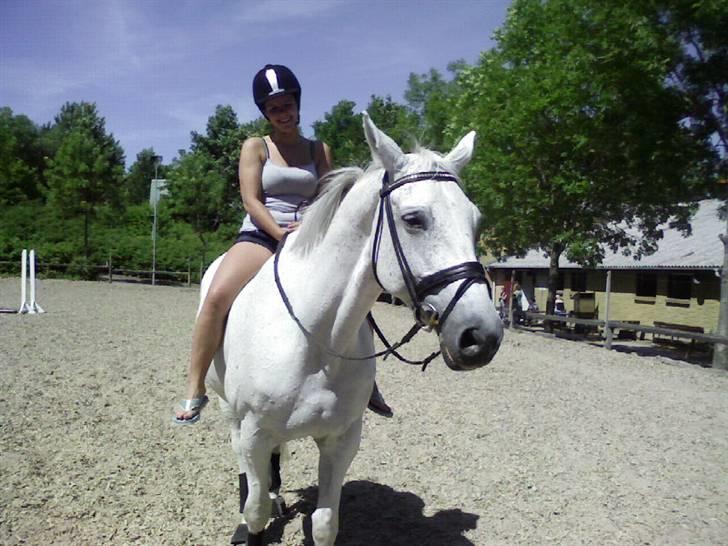 Dansk Varmblod Image - Mig og Skimle-Bimle efter longering ;) billede 11