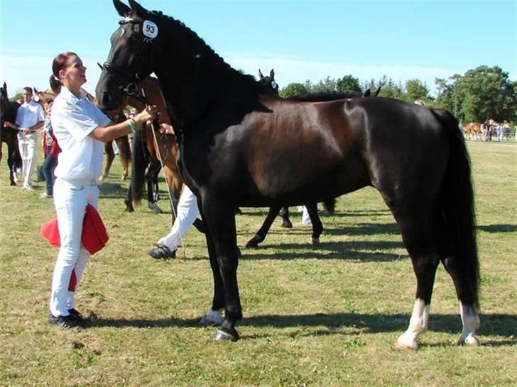 Oldenborg Frederikke Af Hvorvarp billede 14