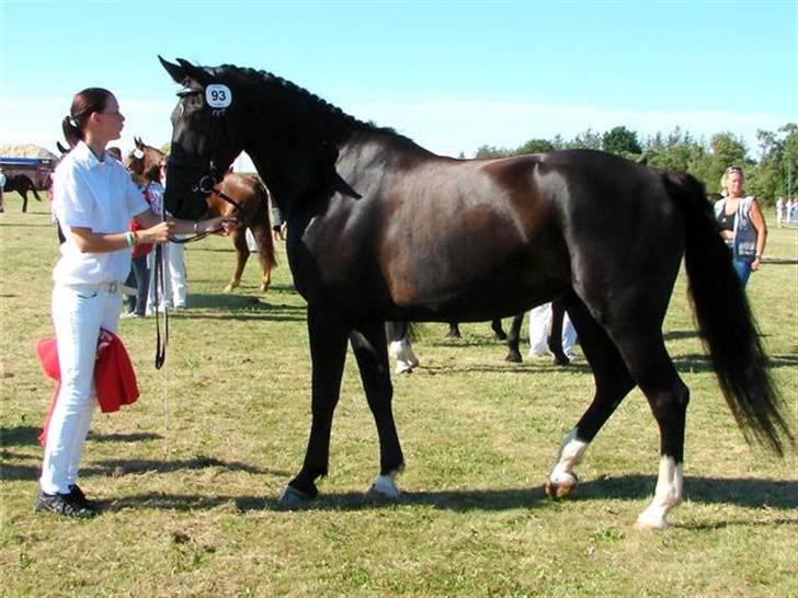 Oldenborg Frederikke Af Hvorvarp billede 16