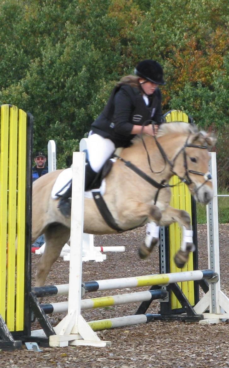 Fjordhest Troja * Elskede * - Sponsorstævne d. 19.10.08. billede 14