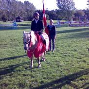 Palomino Caco ( R.I.P )