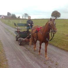 New Forest Matilte<3*solgt :'( *