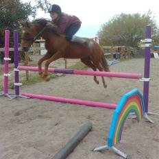 New Forest Matilte<3*solgt :'( *