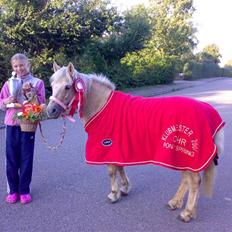 Palomino Caco ( R.I.P )