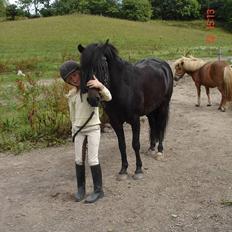 Anden særlig race Skovslands Asterix <3 *Solgt*