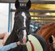 Anden særlig race Stallion R.I.P :'(<3