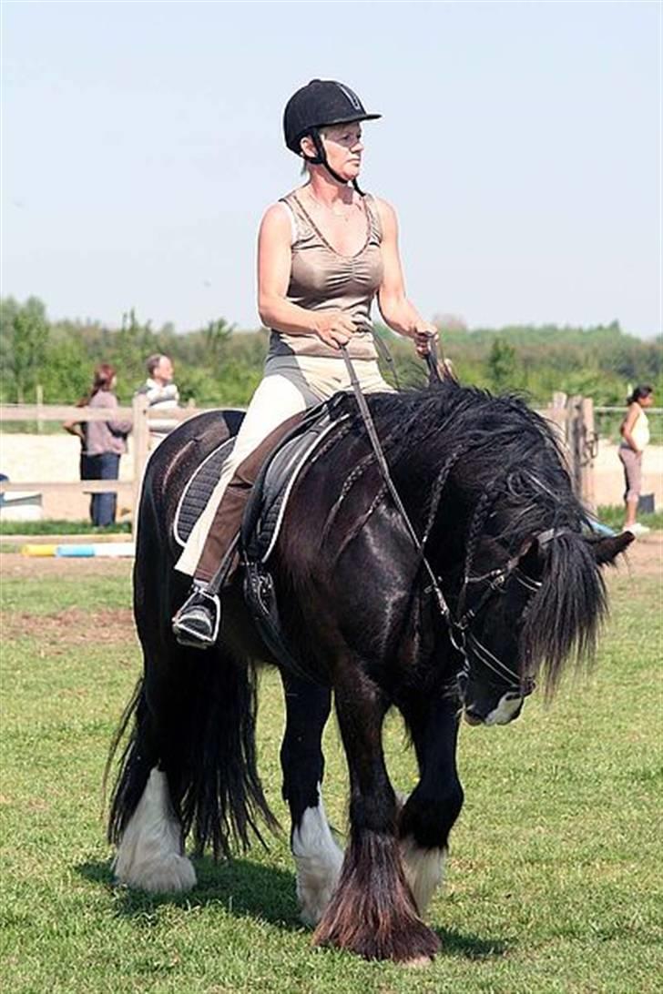 Irish Cob Sir Elton - elton og min søde mor:-) billede 5