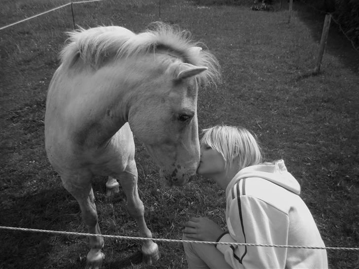 Anden særlig race Silver billede 6