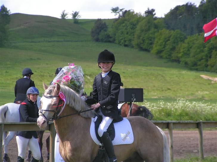 Welsh Cob (sec D) Rytterbjergets Imperial  - Det er mig og Ipper som har vundet en cup i Langå billede 1