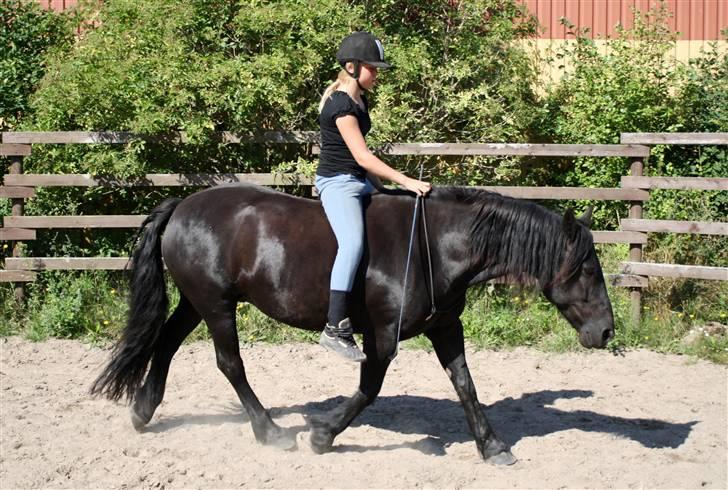 Merens de Cheval Lady (Lelia de Olmes) - Naturlig ridning.  billede 9
