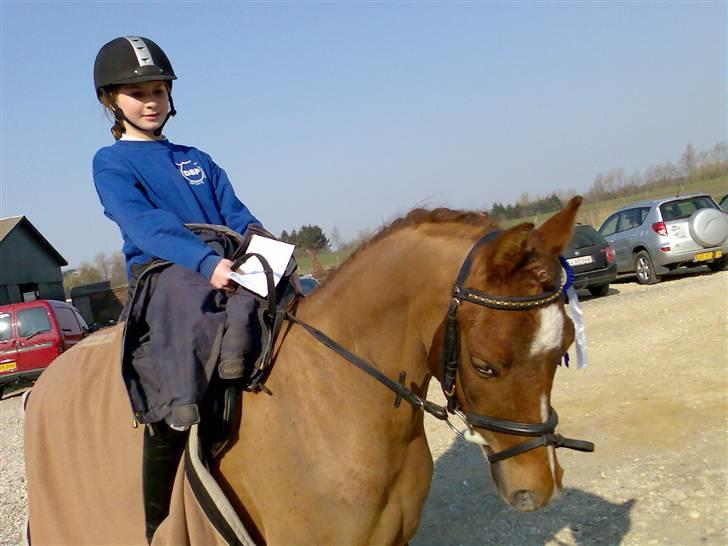 DSP Tourillon A Tout Bredager billede 3