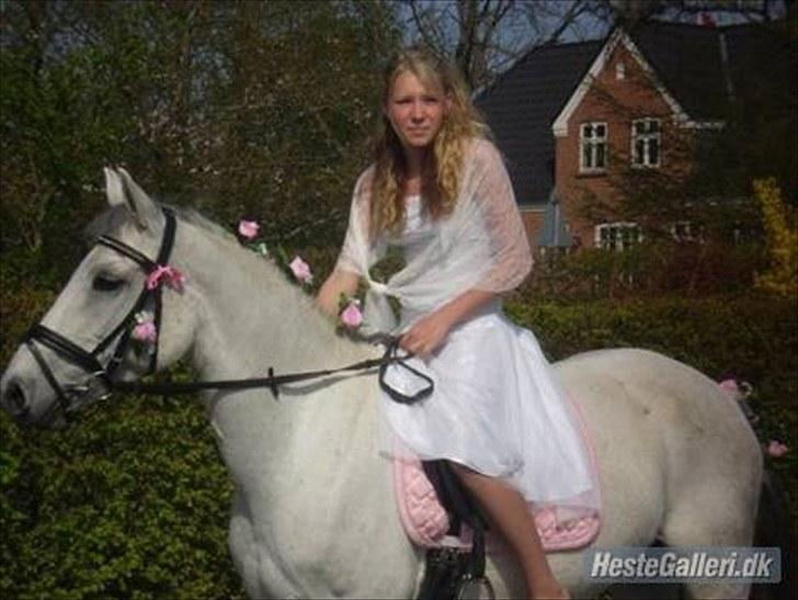 Anden særlig race Cirkeline <3 - Cirkeline mus elsker dig virkelig <3 billede 6