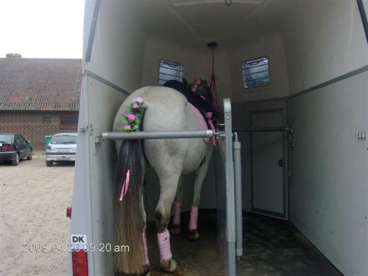 Anden særlig race Cirkeline <3 - Cirkeline mus elsker dig virkelig <3 billede 7