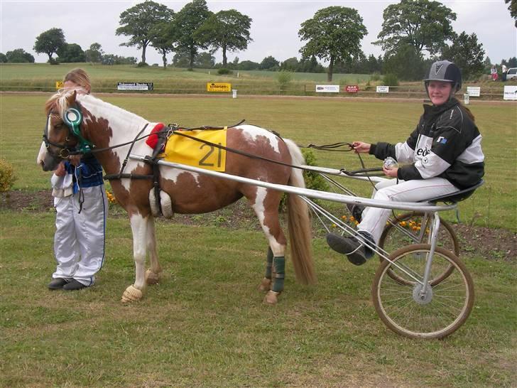 Pinto Atlanta Nyholm - 3. plads i trav derbyet 2008 igen:) er jo snart vane.. hehe i ny rekord 3.00 på 1000meter billede 11