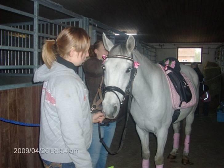 Anden særlig race Cirkeline <3 - på vej op til vores ride-skole <3 billede 11