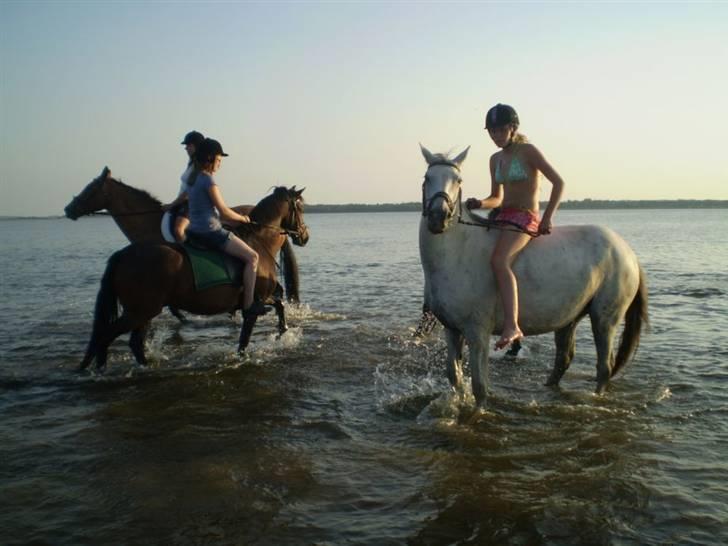 Anden særlig race Cirkeline <3 billede 12