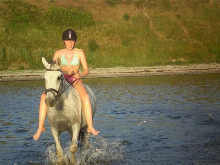 Anden særlig race Cirkeline <3 billede 13