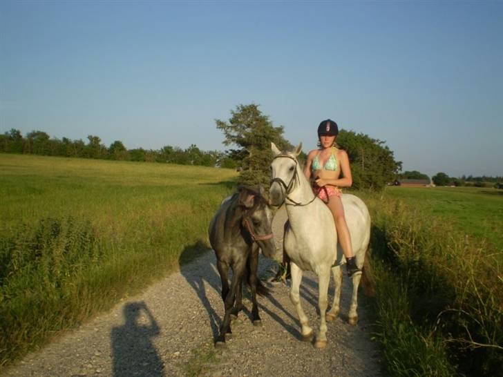 Anden særlig race Cirkeline <3 billede 14