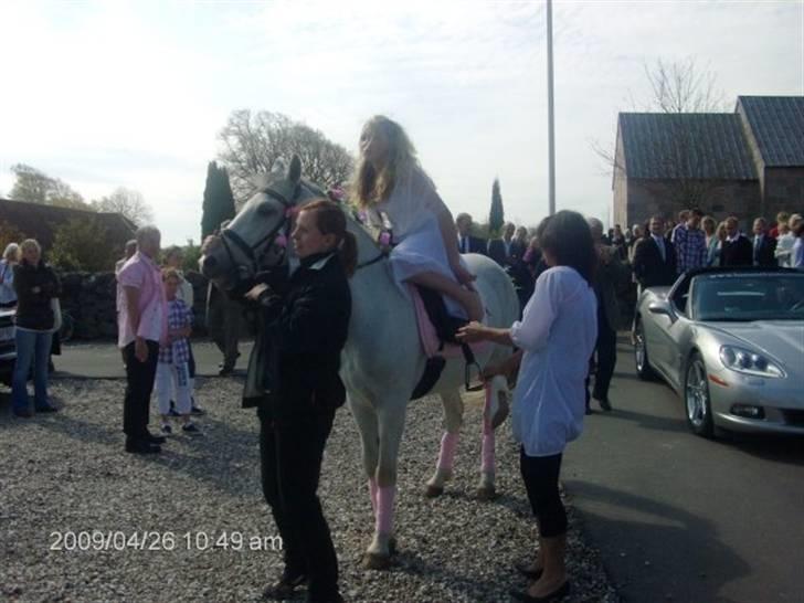 Anden særlig race Cirkeline <3 - juhhuuu :) billede 15