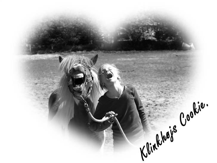 Anden særlig race |Klinkhøjs Cookie| - {3}  - gaaab ! ;ii <3  ´25.05.09´  billede 3