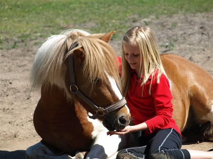 Anden særlig race |Klinkhøjs Cookie| - {13} - på komando ! 8)<3,  billede 13