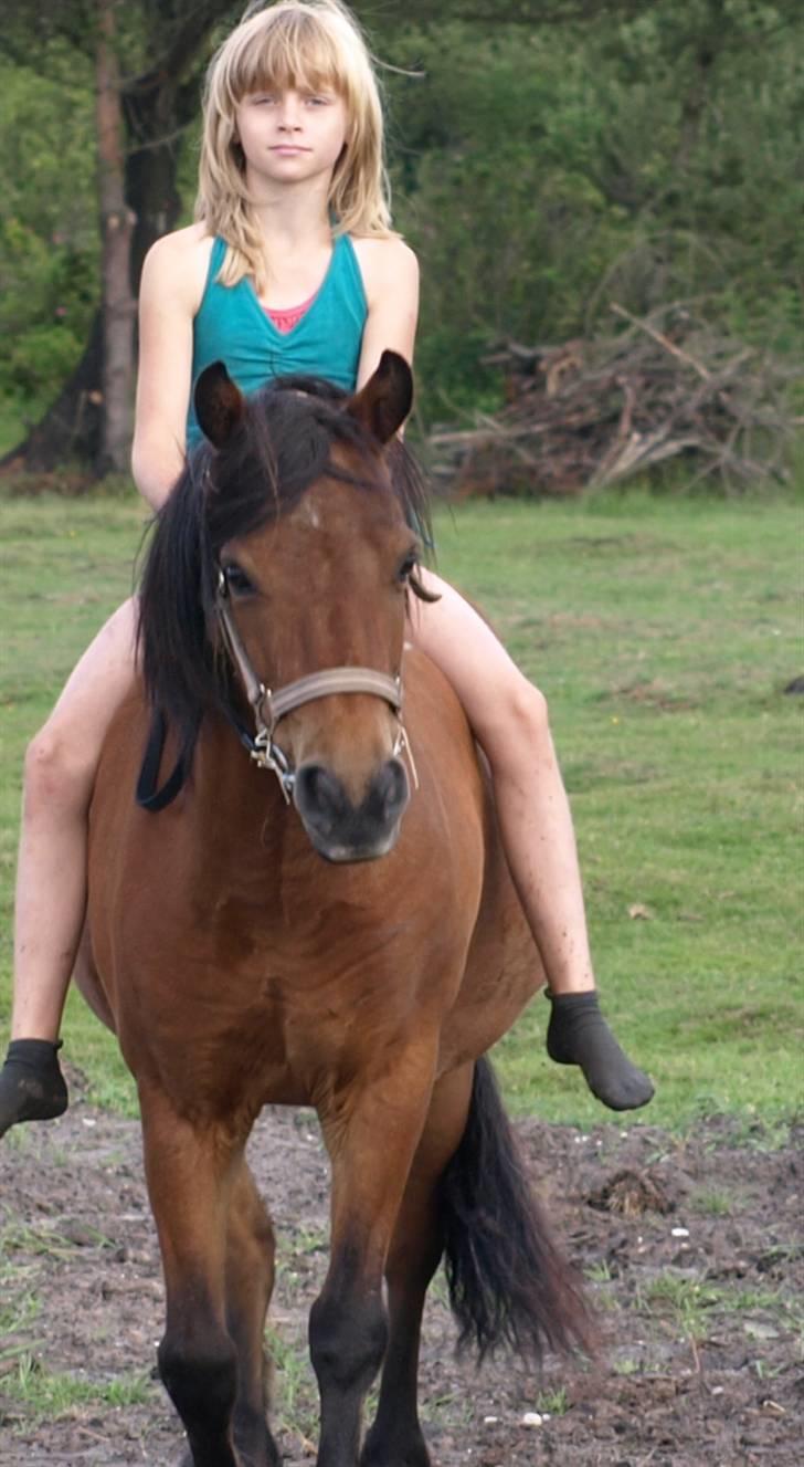 Anden særlig race |Buller| - Nede på folden, efter vi havde været nede ved vandet. :):) billede 2