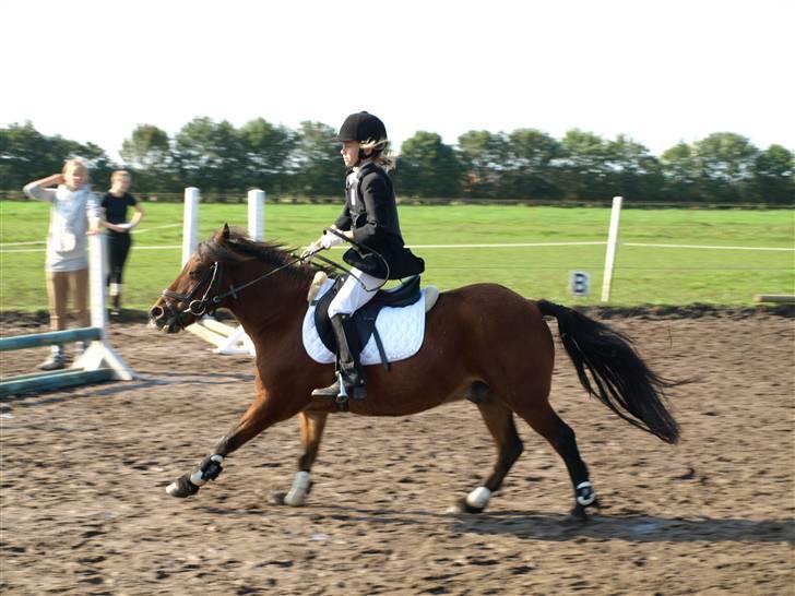 Anden særlig race |Buller| - stævne´Happy´Horse.. Frasss billed :) <3 . det var fanme sjov.. 2. plads..  billede 3
