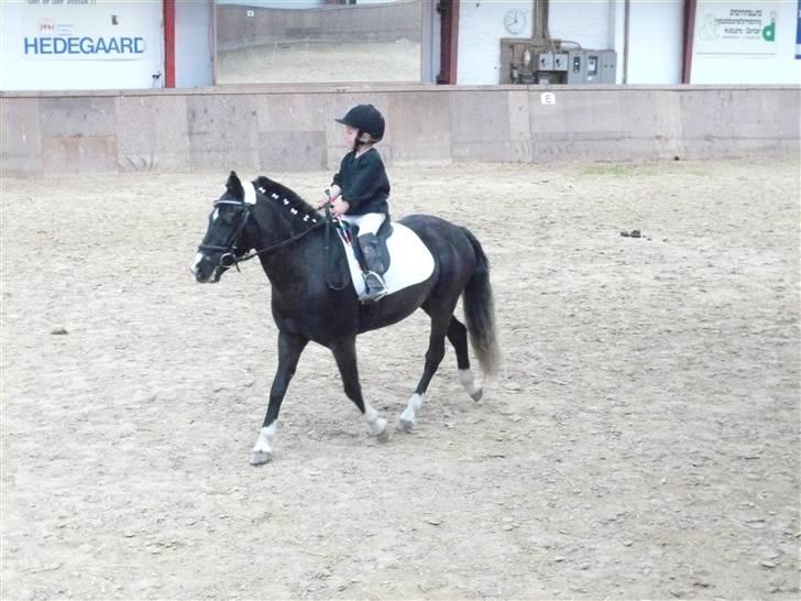 DSP Sofie RT - Opvarming li inden starten.. billede 4