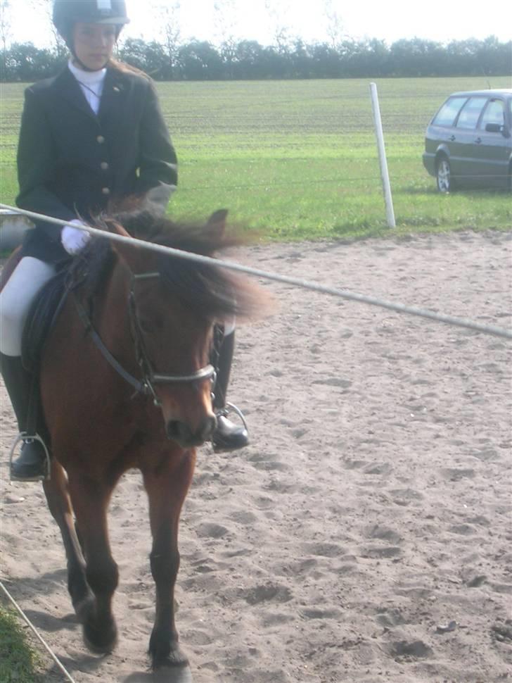 Anden særlig race |Buller| - stævne, min storesøster på Buller fra et par år siden.. ;) billede 6