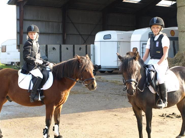 Anden særlig race |Buller| - Buller og Lady, Friida og Moni.. billede 7