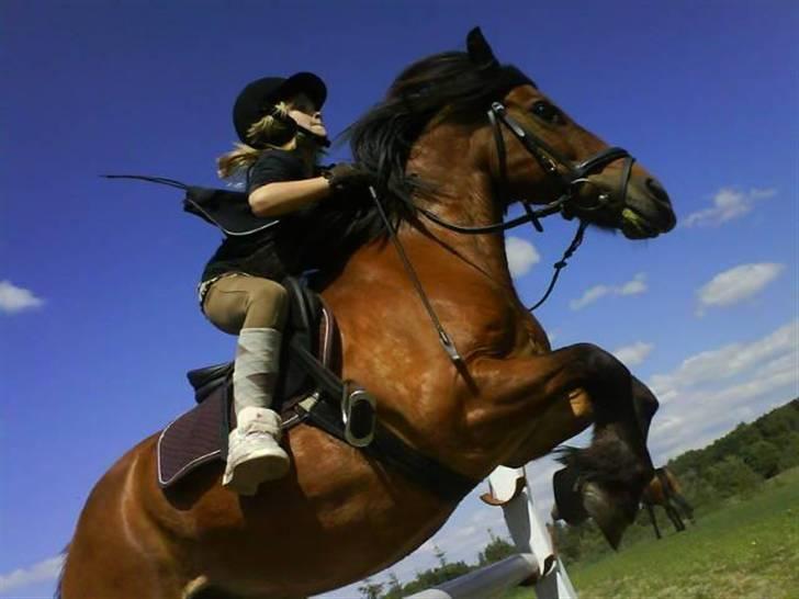 Anden særlig race |Buller| - NICE nok-..!! billede 9