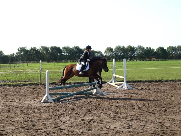 Anden særlig race |Buller| - stævne. billede 11