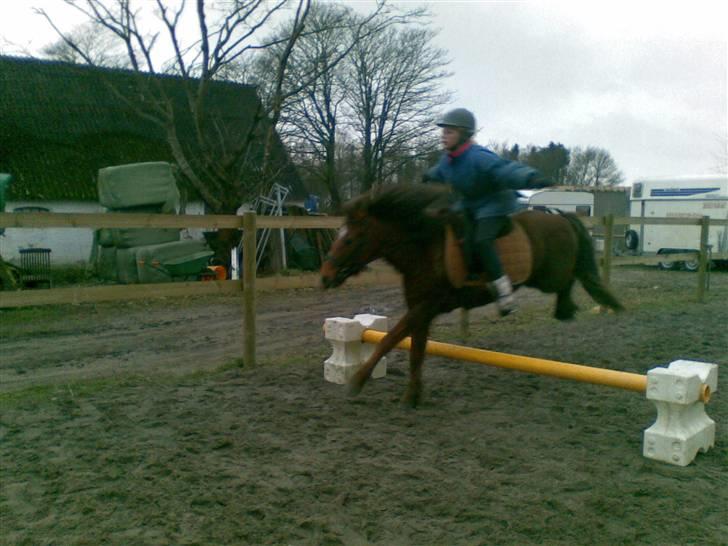 New Forest Matilte<3*solgt :'( * - Jeg springer uden hænder<3(: billede 6