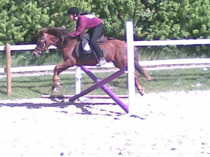 New Forest Matilte<3*solgt :'( * - Matilte og mig på kryds(: billede 10