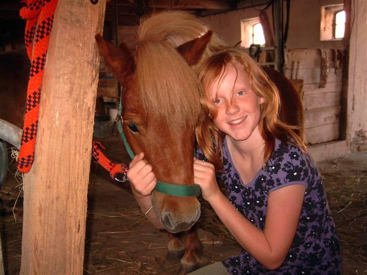 Shetlænder Freja - Nhåå hvor er du sød..<33 billede 2