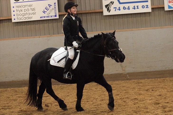 Anden særlig race Blacky (solgt) - Blacky og Charlotte billede 6