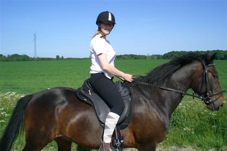 Traver Ginkgo Star - Prøve ny sadel. billede 11