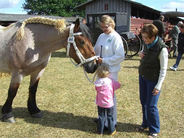 Belgier Dalmoses Bertha (solgt) billede 9