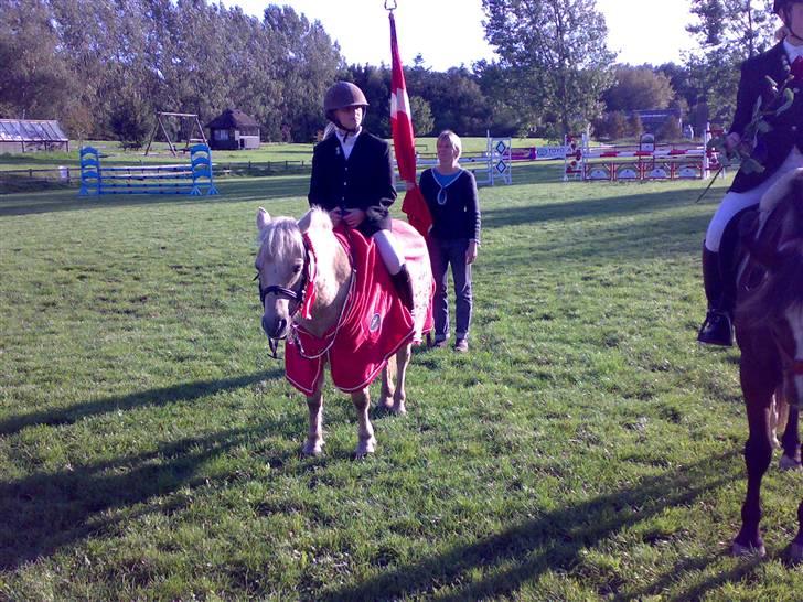 Palomino Caco ( R.I.P ) billede 4